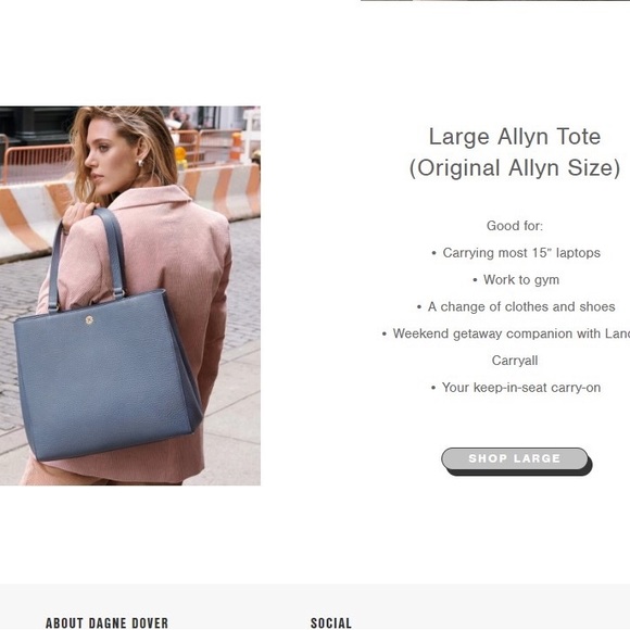 L - Dagne Dover Allen Tote in Pollen - NWOT - Picture 10 of 10